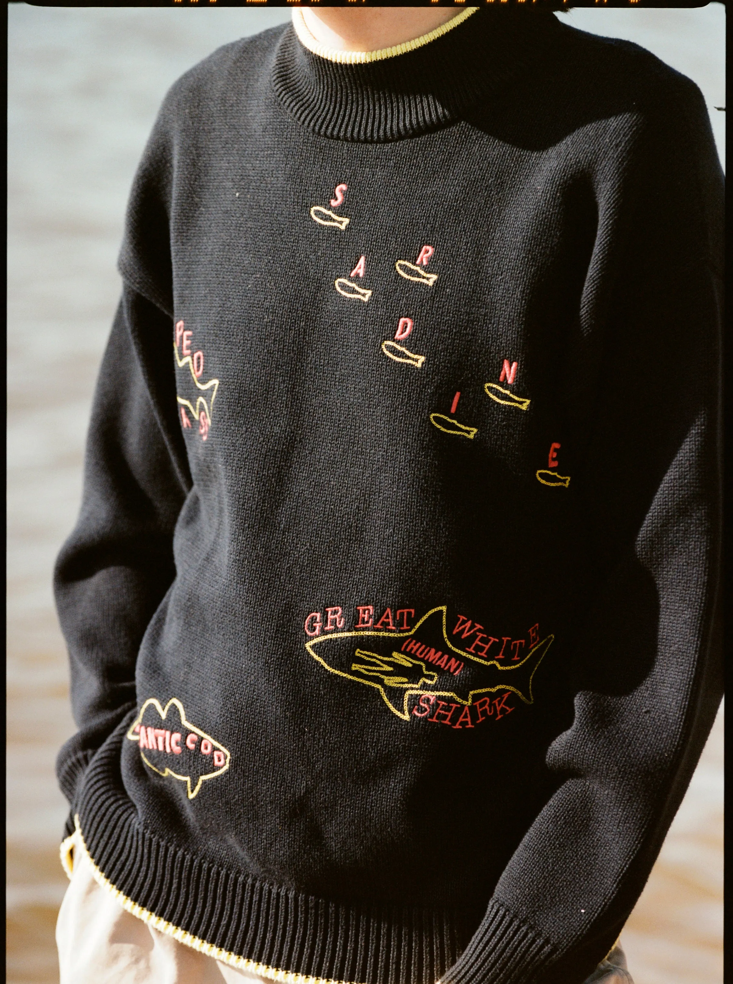 Customizable 'Fishes of the North Atlantic' Sweater