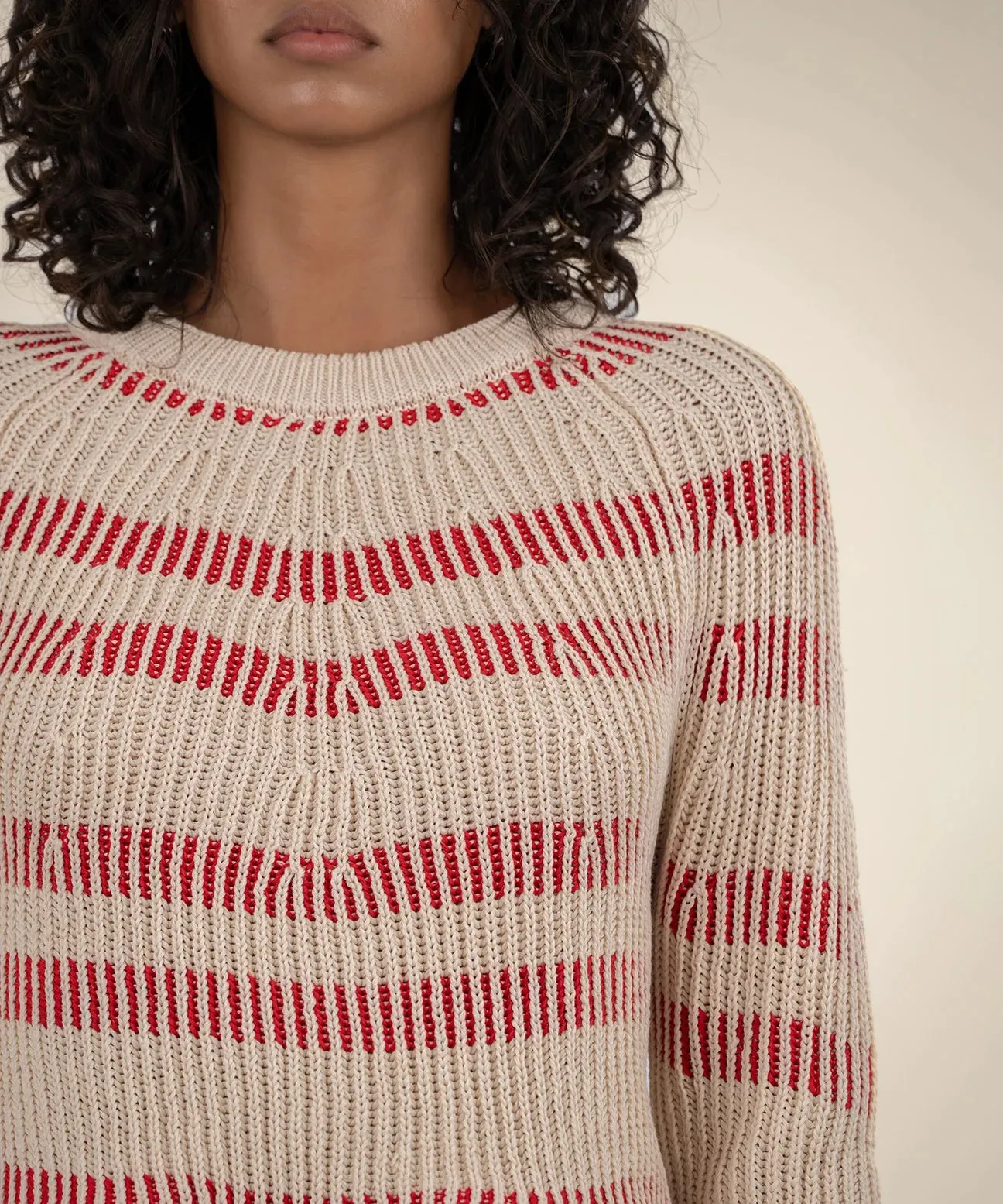 Reagen Stripe Crewneck